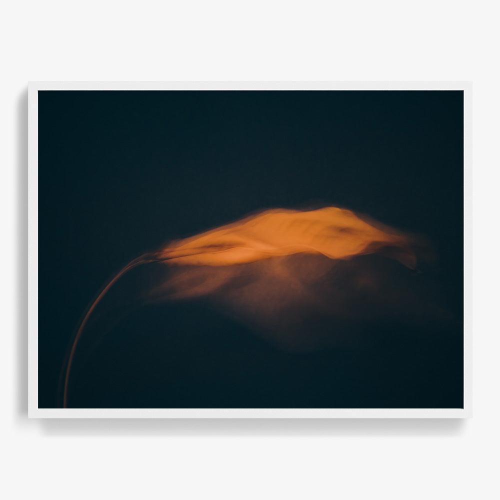 Photograph by Jan Prengel