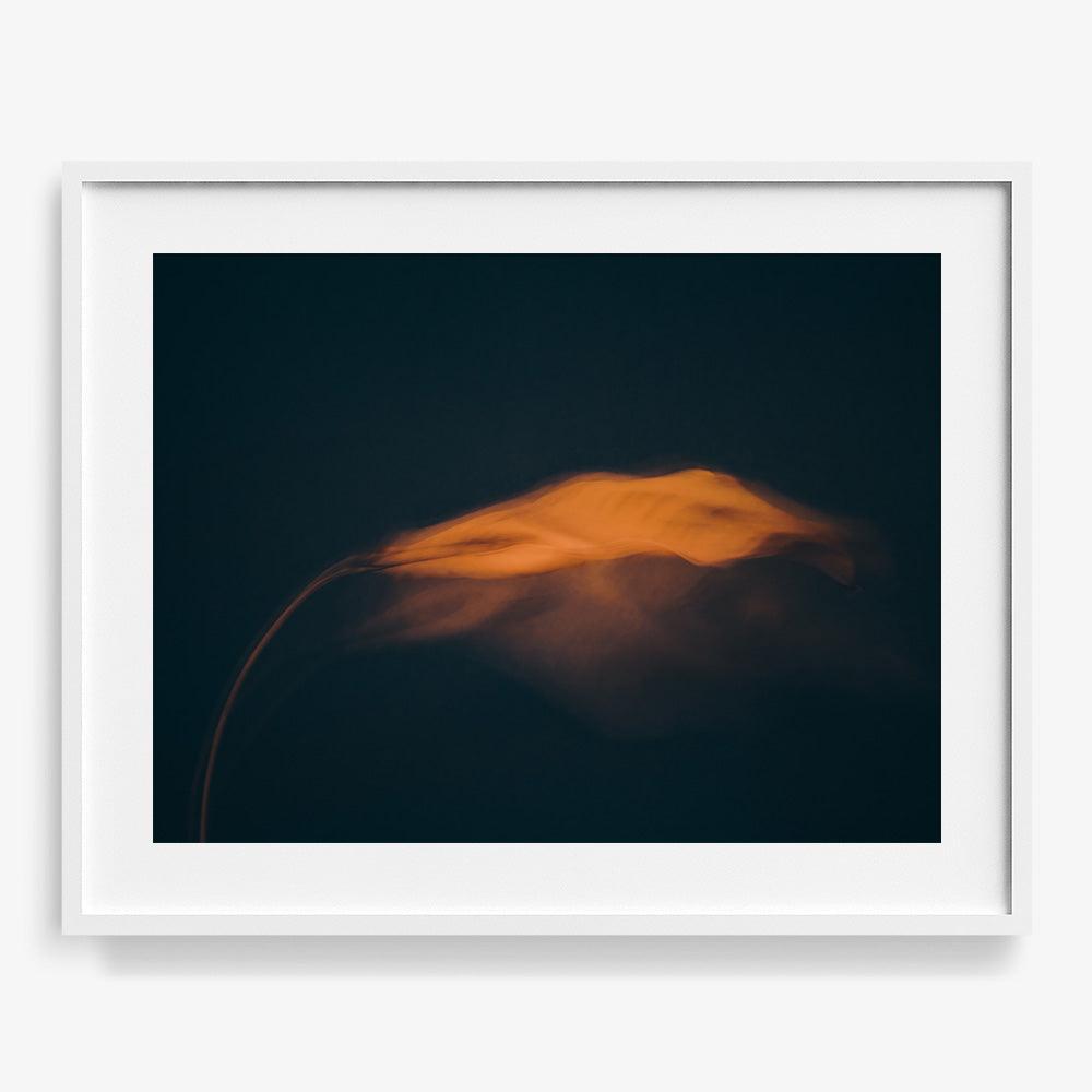 Photograph by Jan Prengel