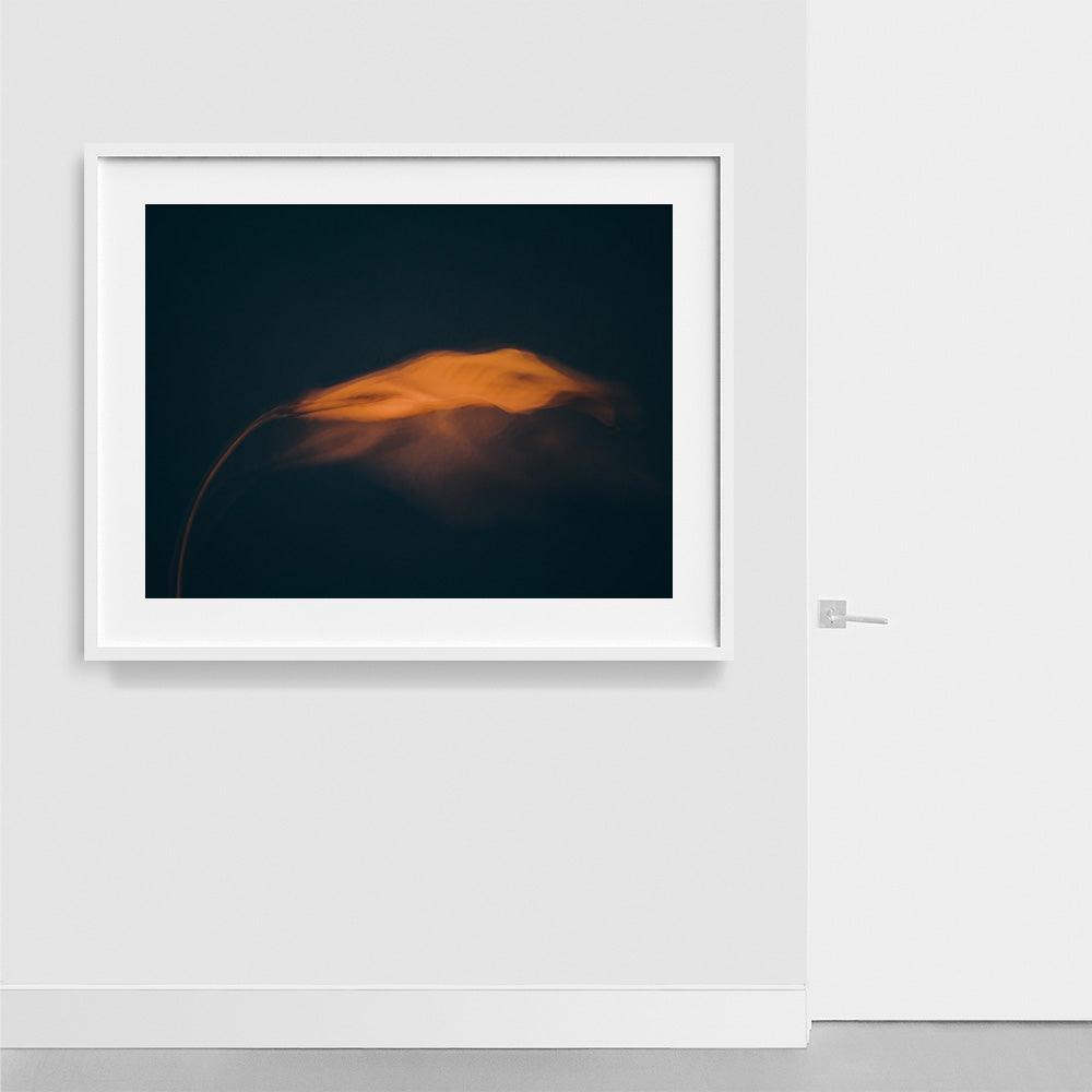 Photograph by Jan Prengel