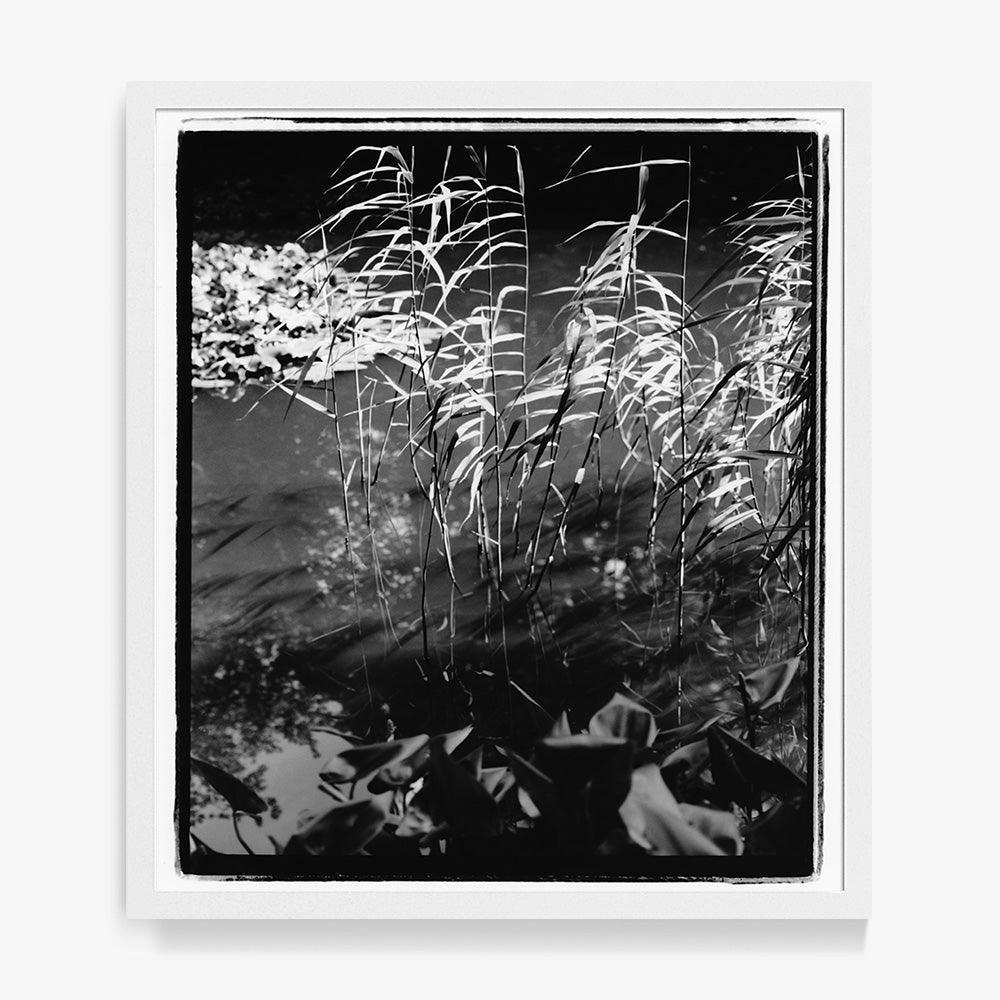 Photograph by Katie Burdon