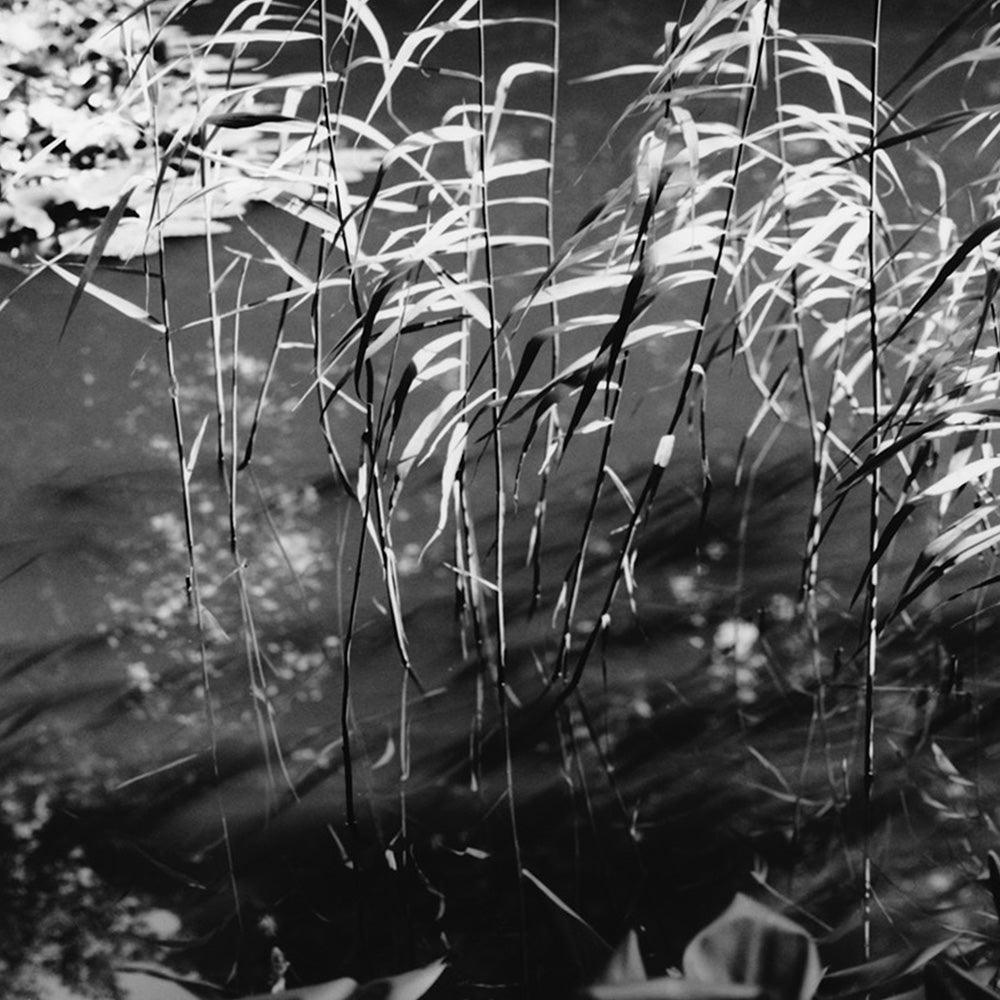 Photograph by Katie Burdon