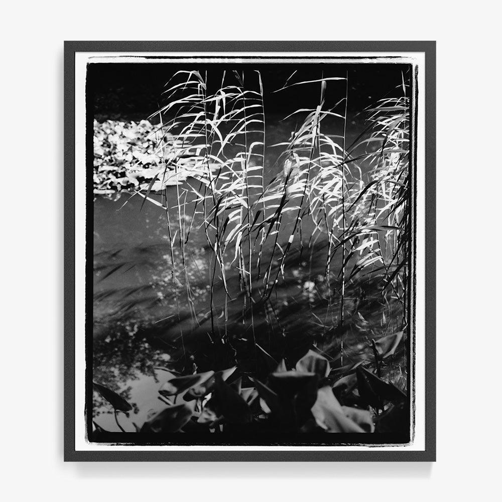 Photograph by Katie Burdon