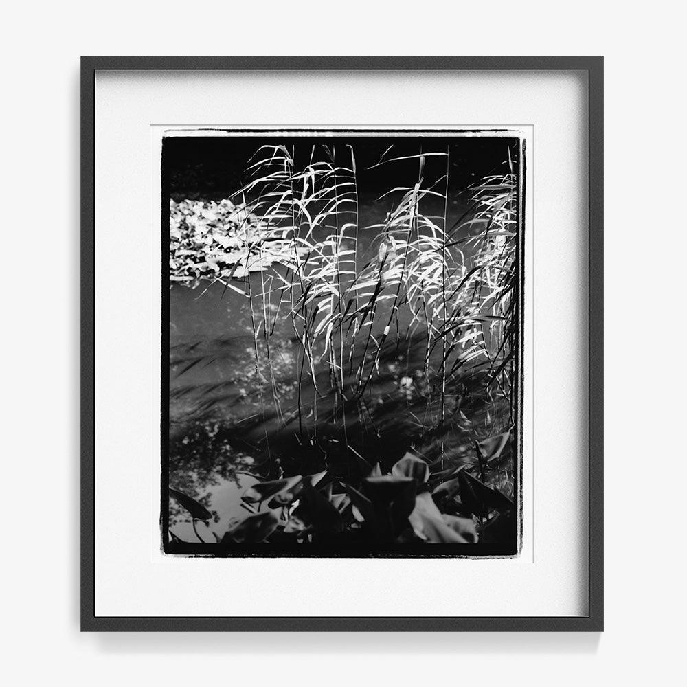 Photograph by Katie Burdon