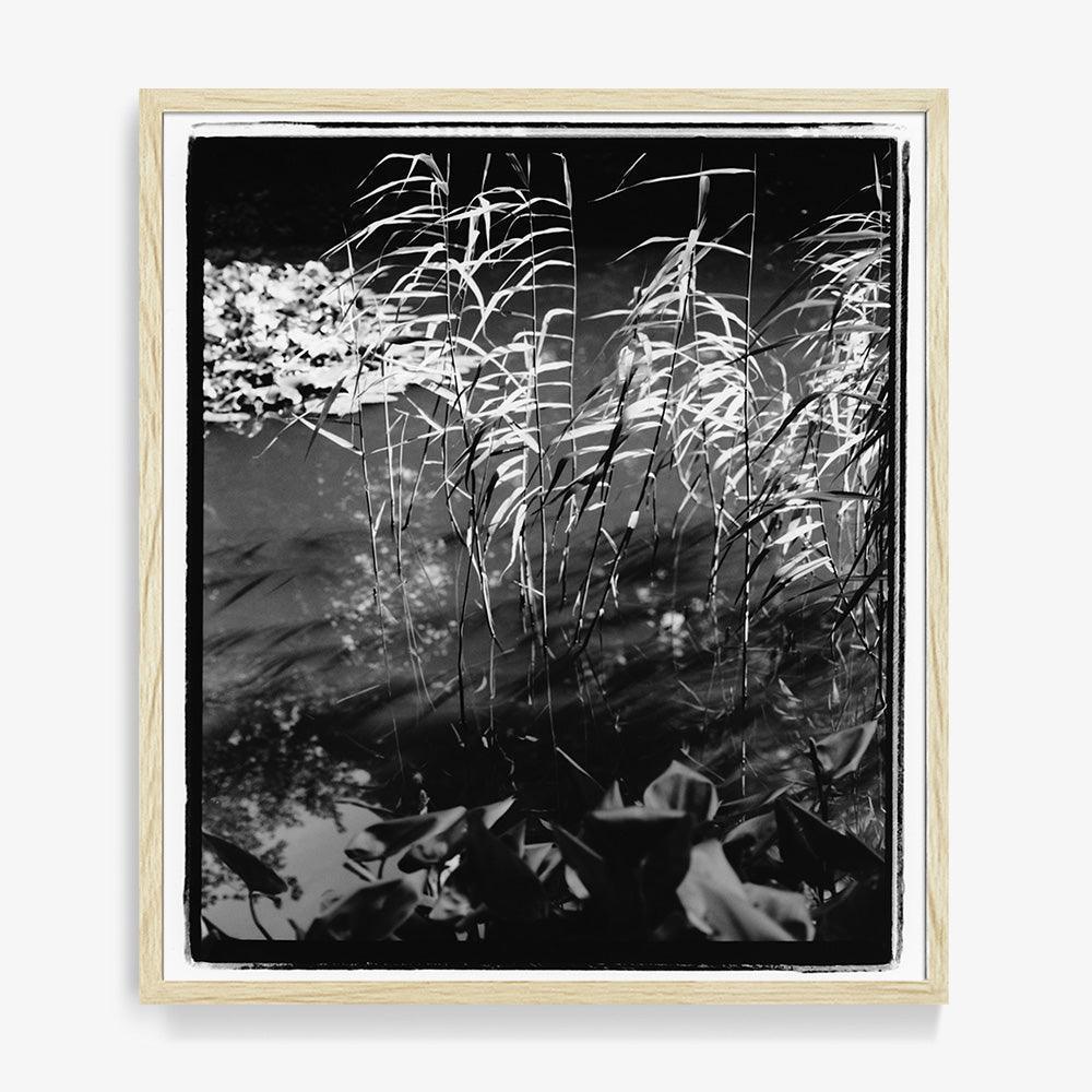 Photograph by Katie Burdon