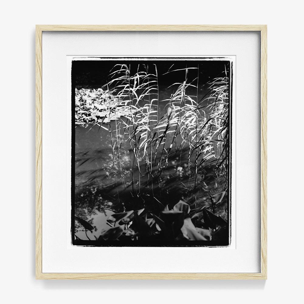 Photograph by Katie Burdon