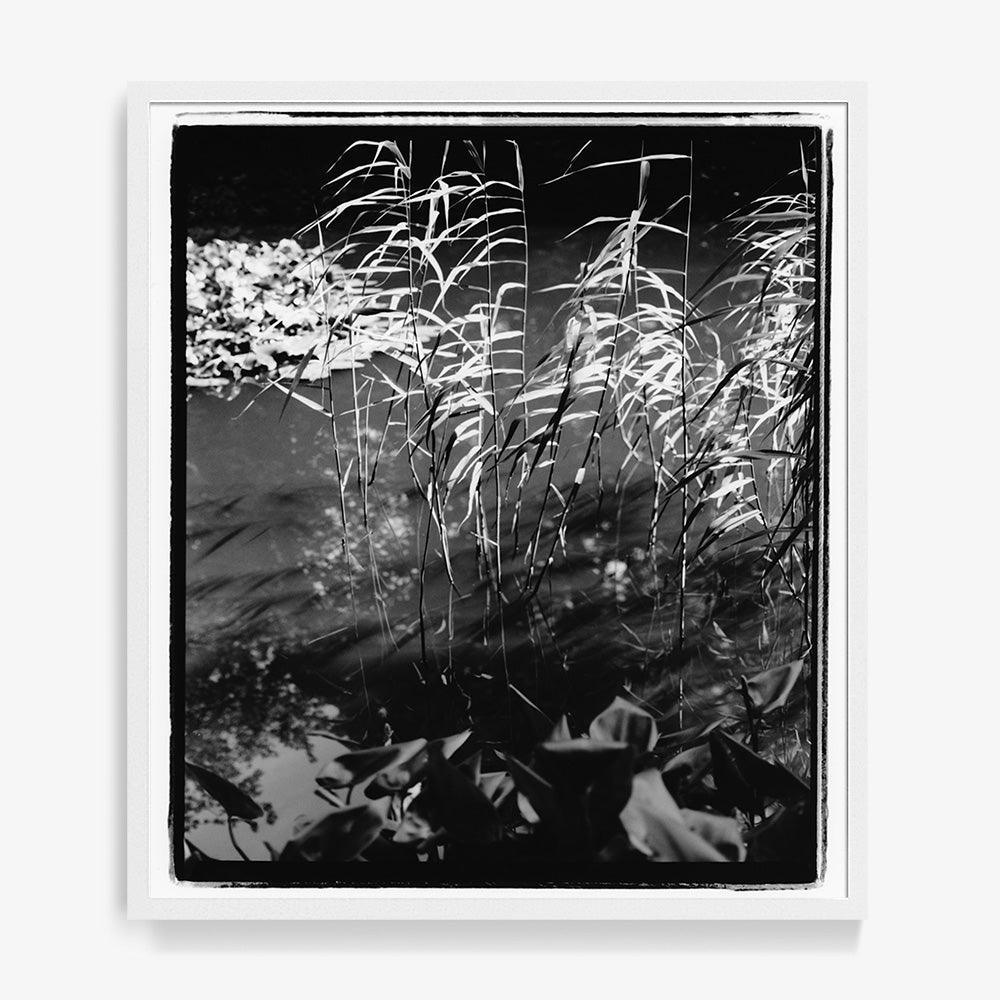Photograph by Katie Burdon