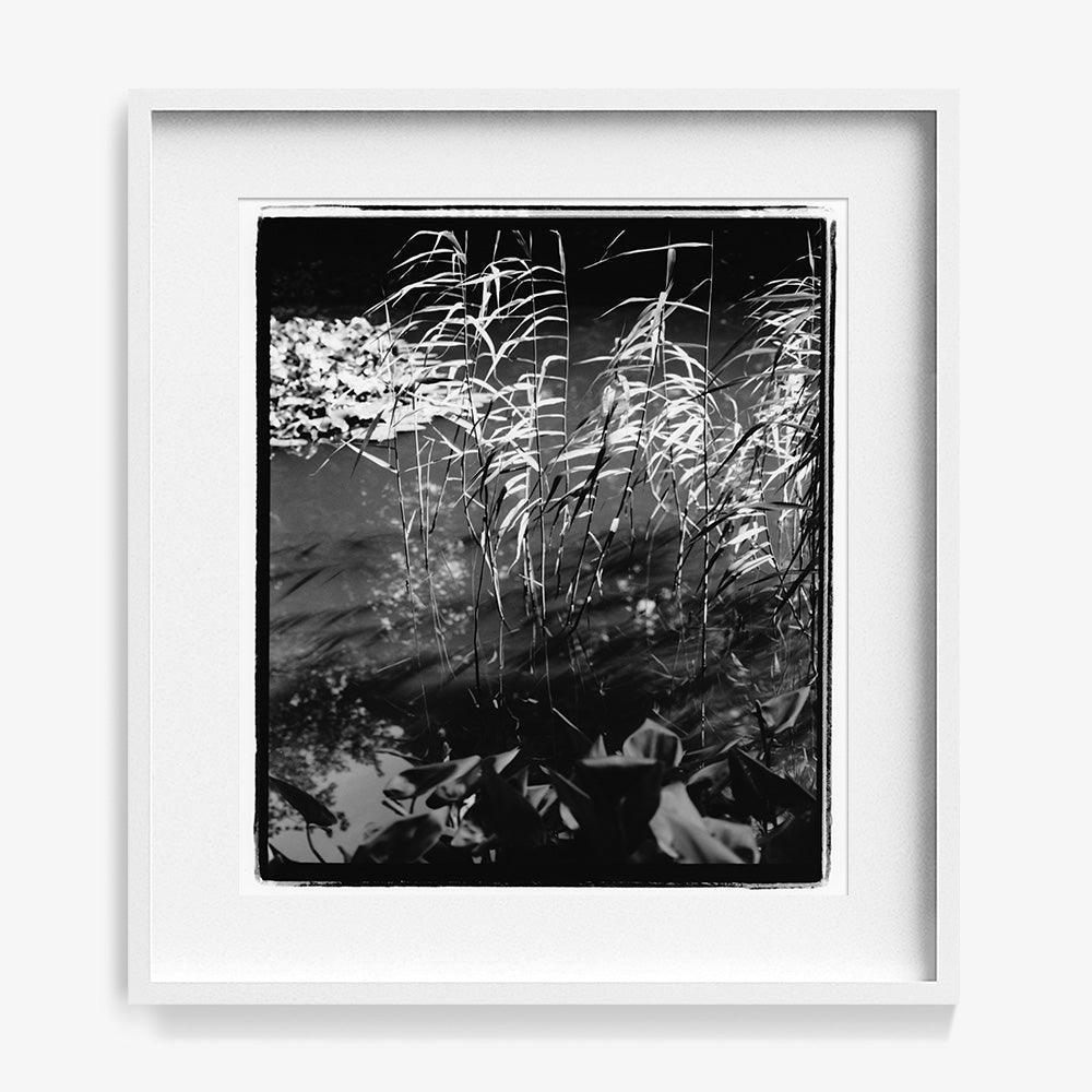 Photograph by Katie Burdon