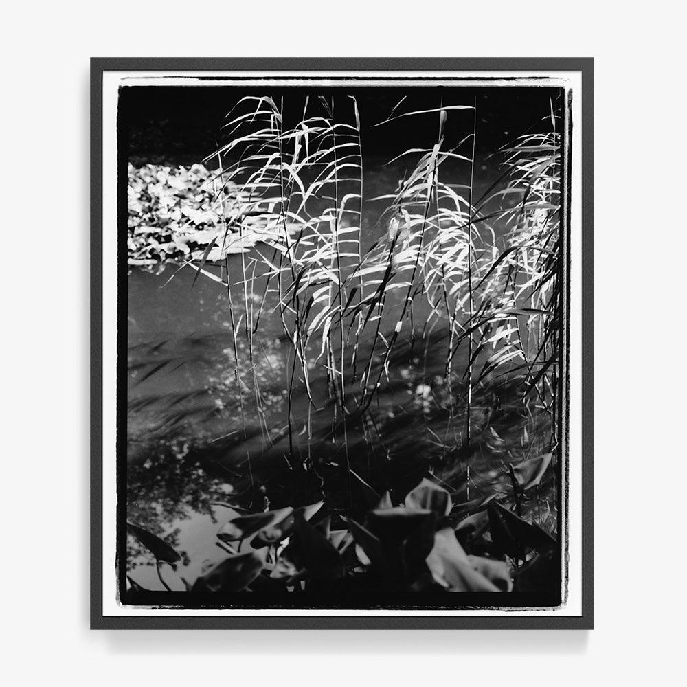 Photograph by Katie Burdon