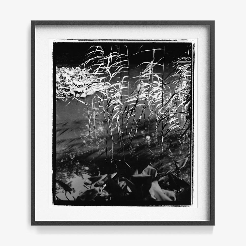Photograph by Katie Burdon