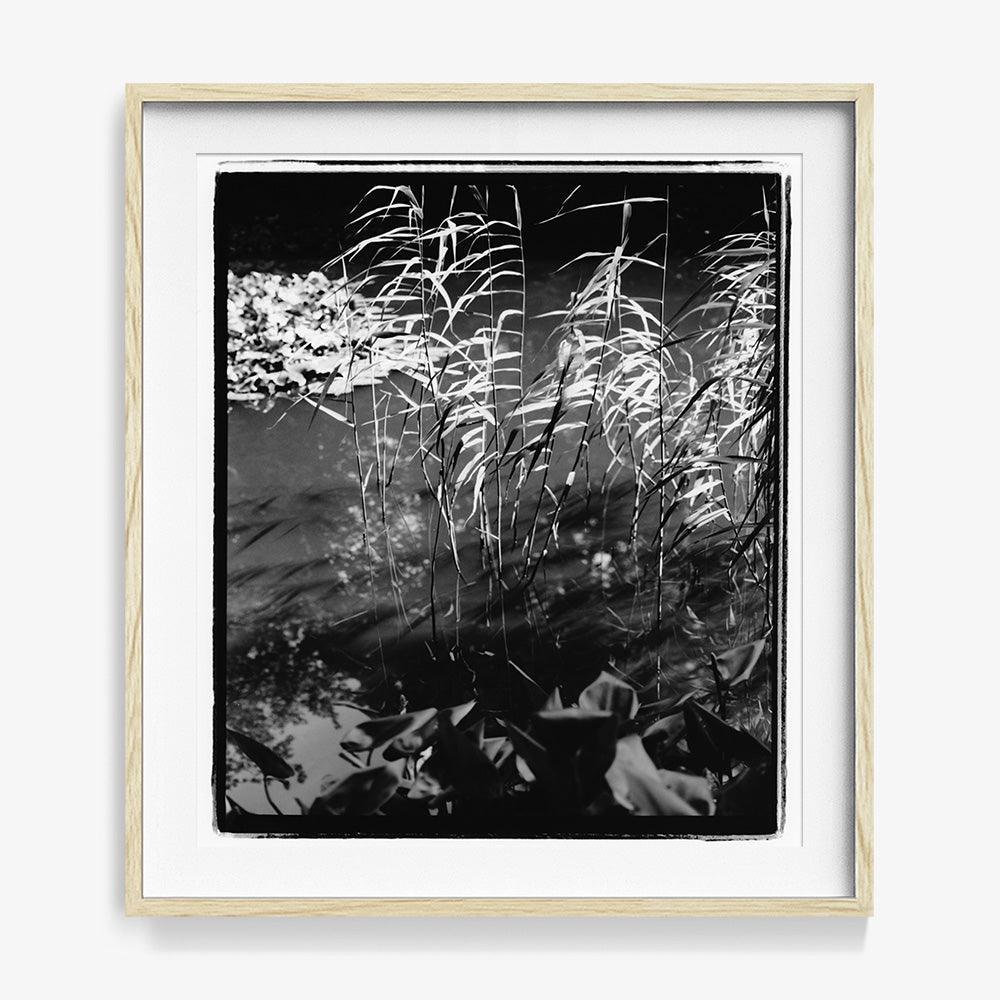 Photograph by Katie Burdon