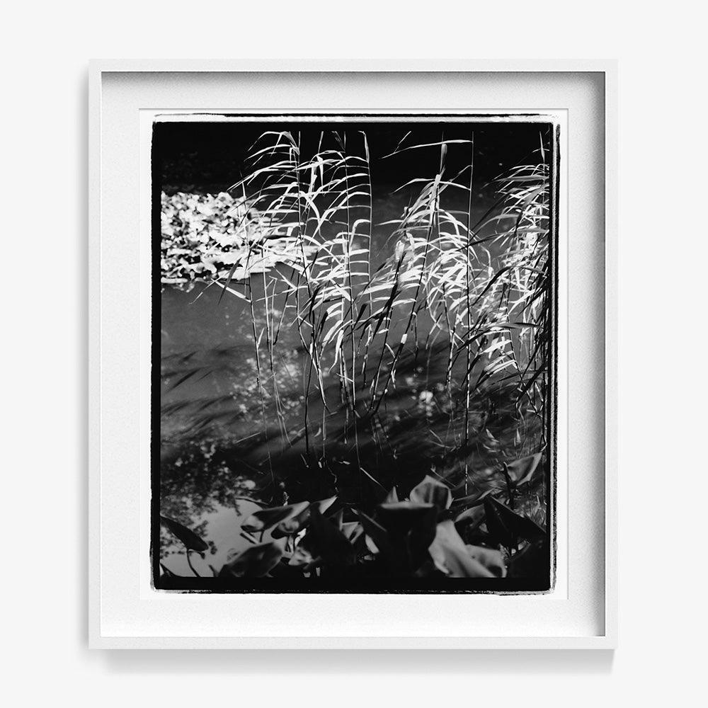 Photograph by Katie Burdon