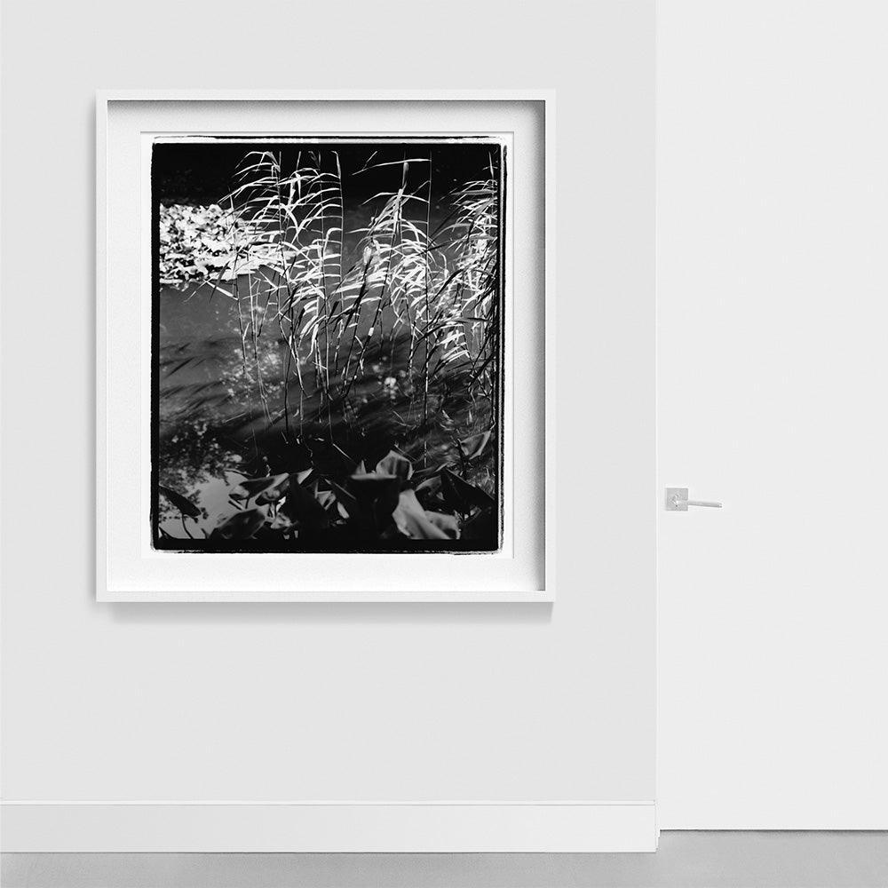 Photograph by Katie Burdon