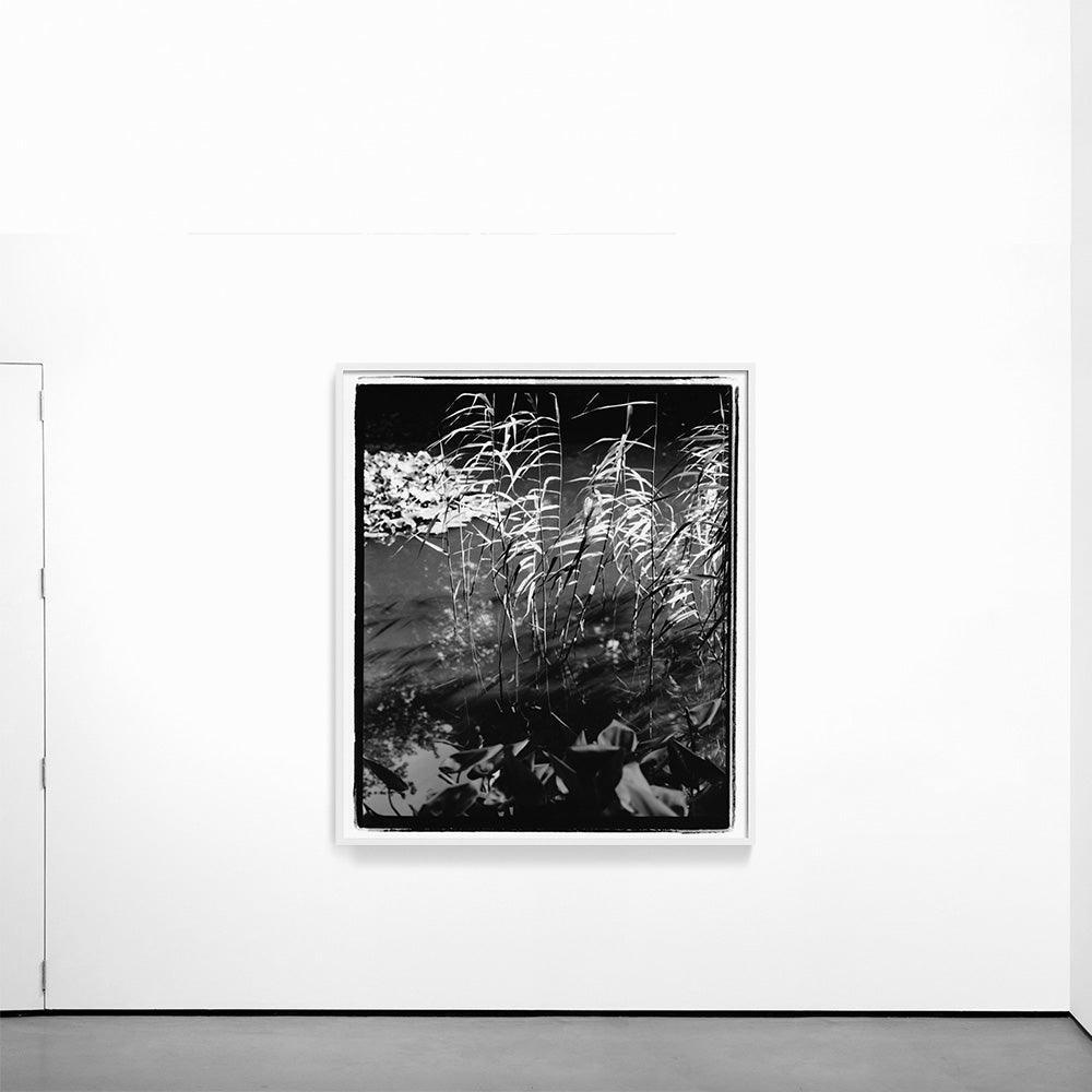 Photograph by Katie Burdon