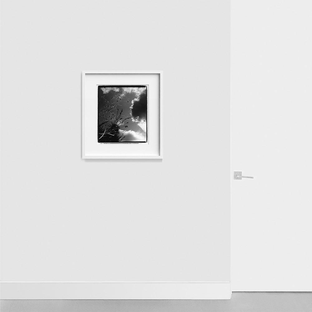 Photograph by Katie Burdon