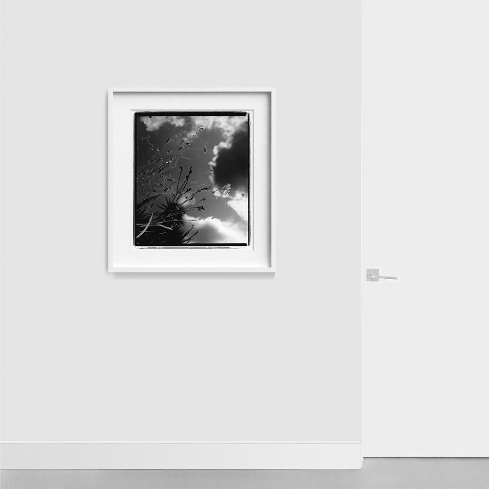 Photograph by Katie Burdon