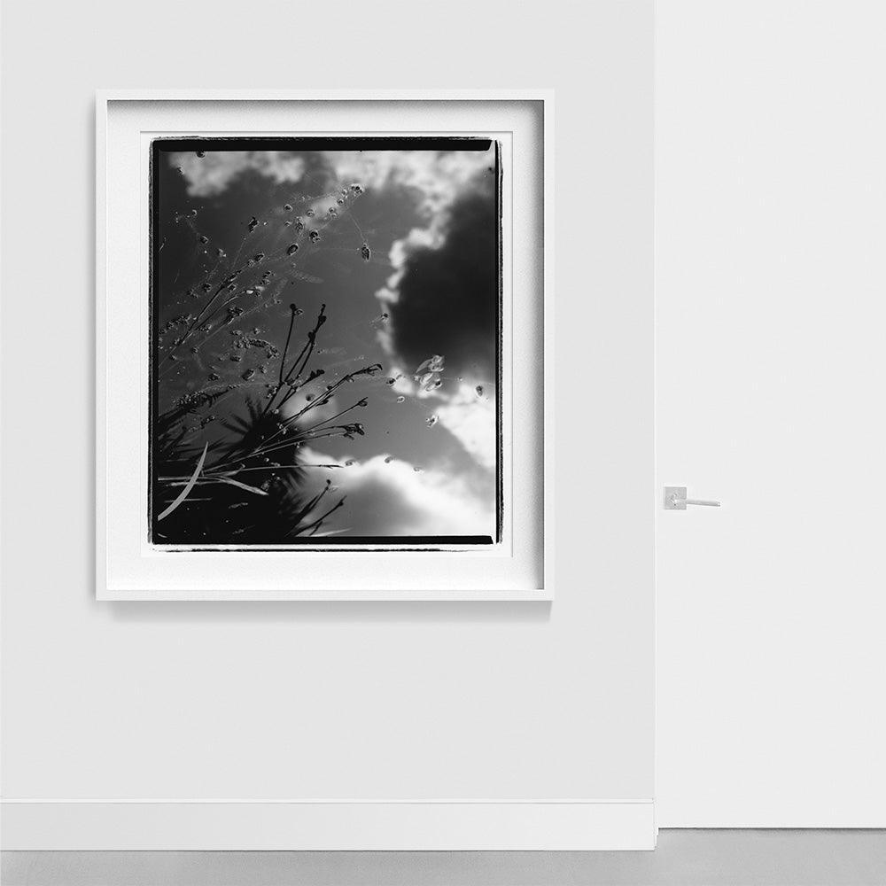 Photograph by Katie Burdon