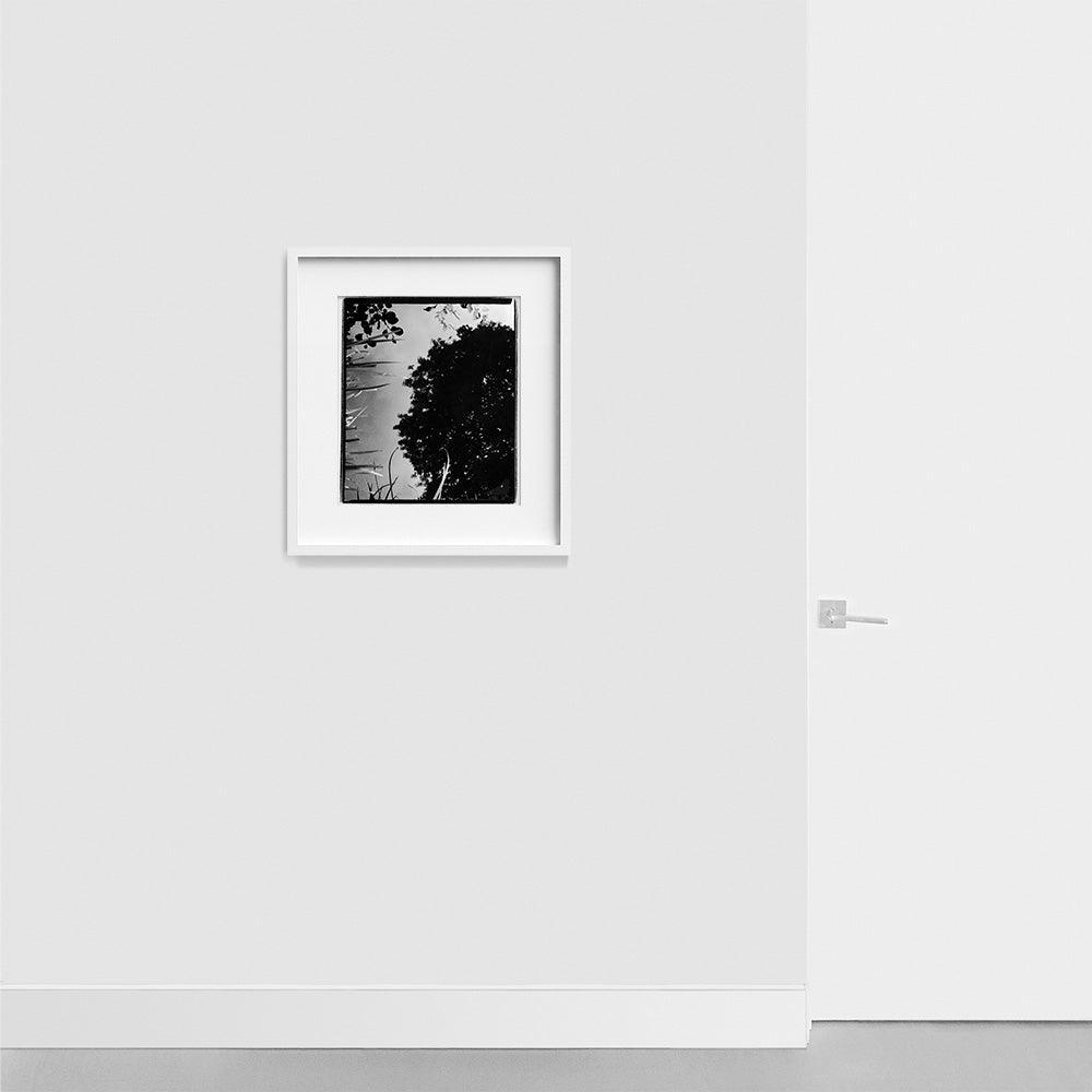 Photograph by Katie Burdon