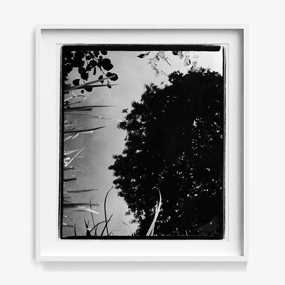 Photograph by Katie Burdon