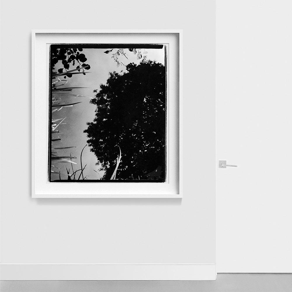 Photograph by Katie Burdon