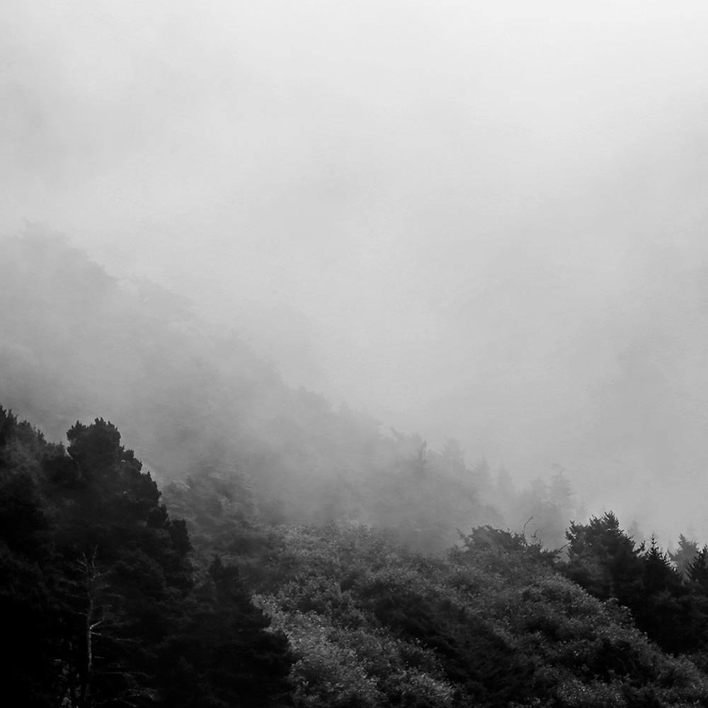 Misty Mountains, Photograph  by  Misty Mountains Tappan