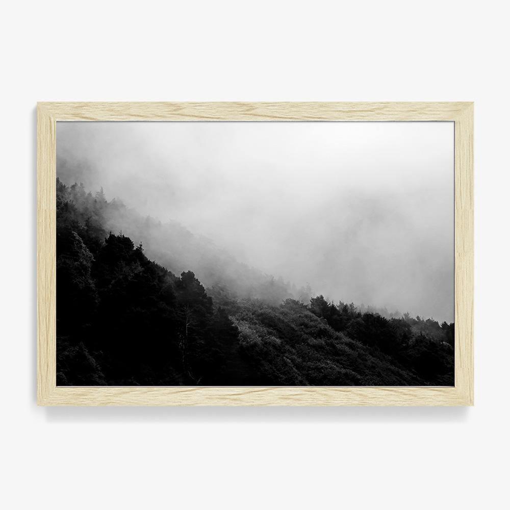 Photograph by Isaac Zoller