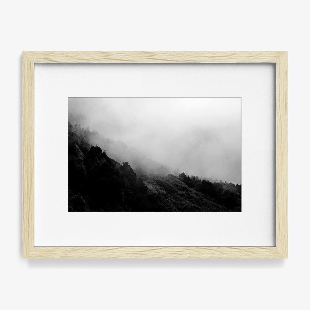Photograph by Isaac Zoller