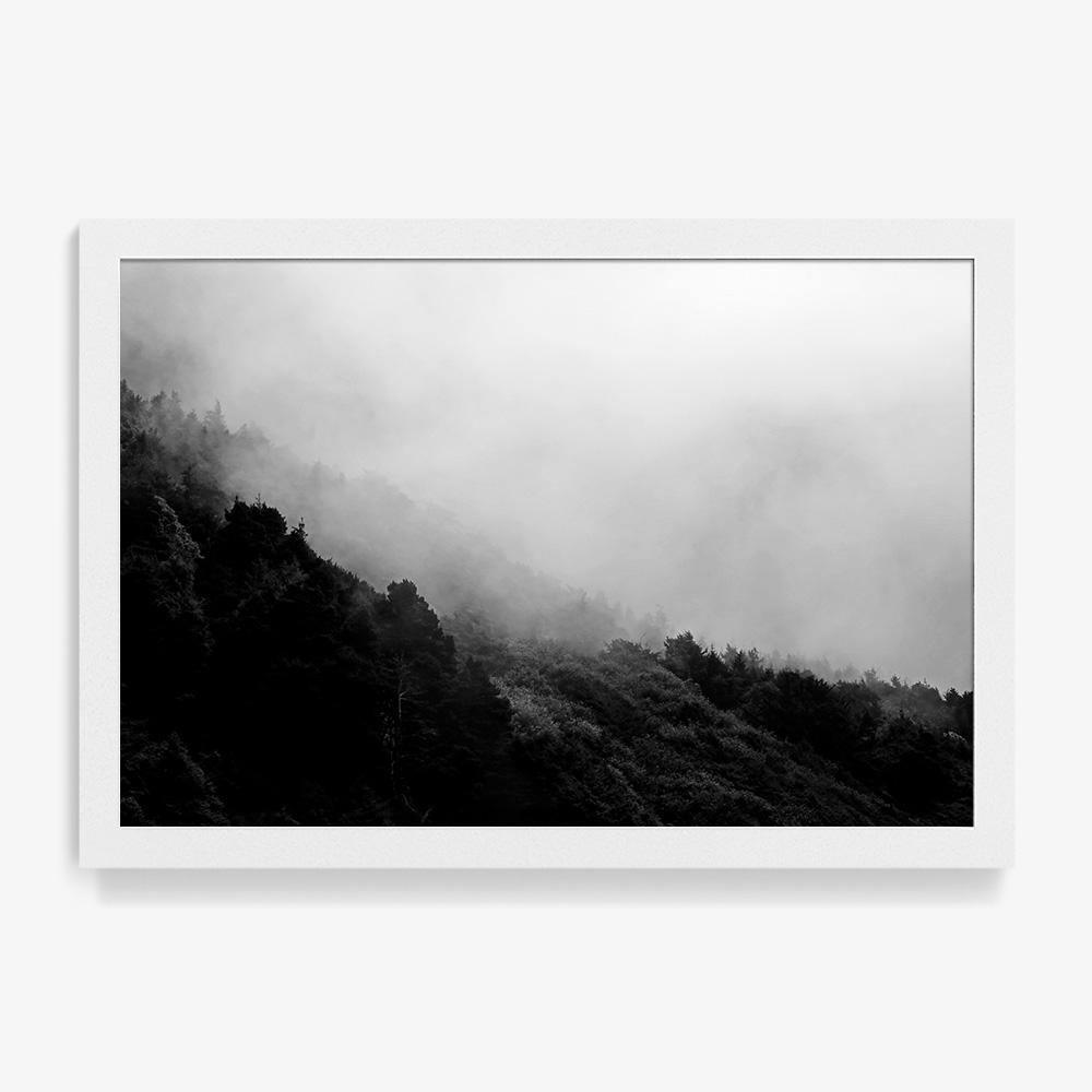 Misty Mountains, Photograph  by  Misty Mountains Tappan