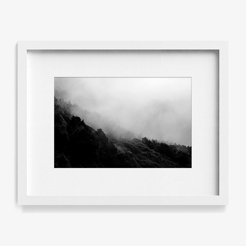 Misty Mountains, Photograph  by  Misty Mountains Tappan