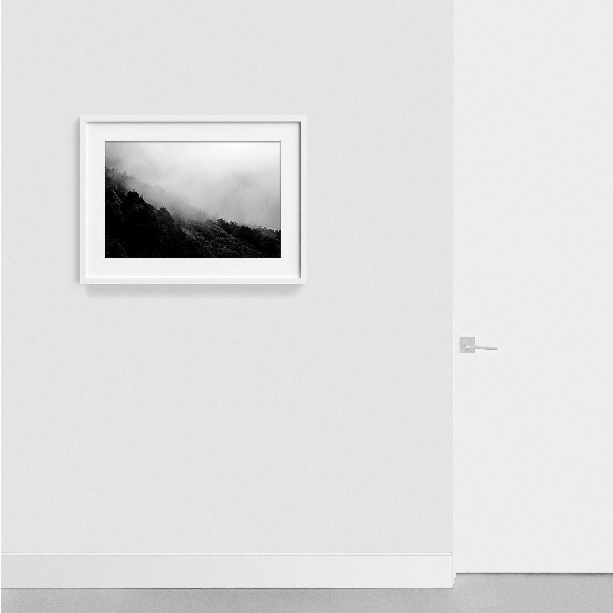 Photograph by Isaac Zoller