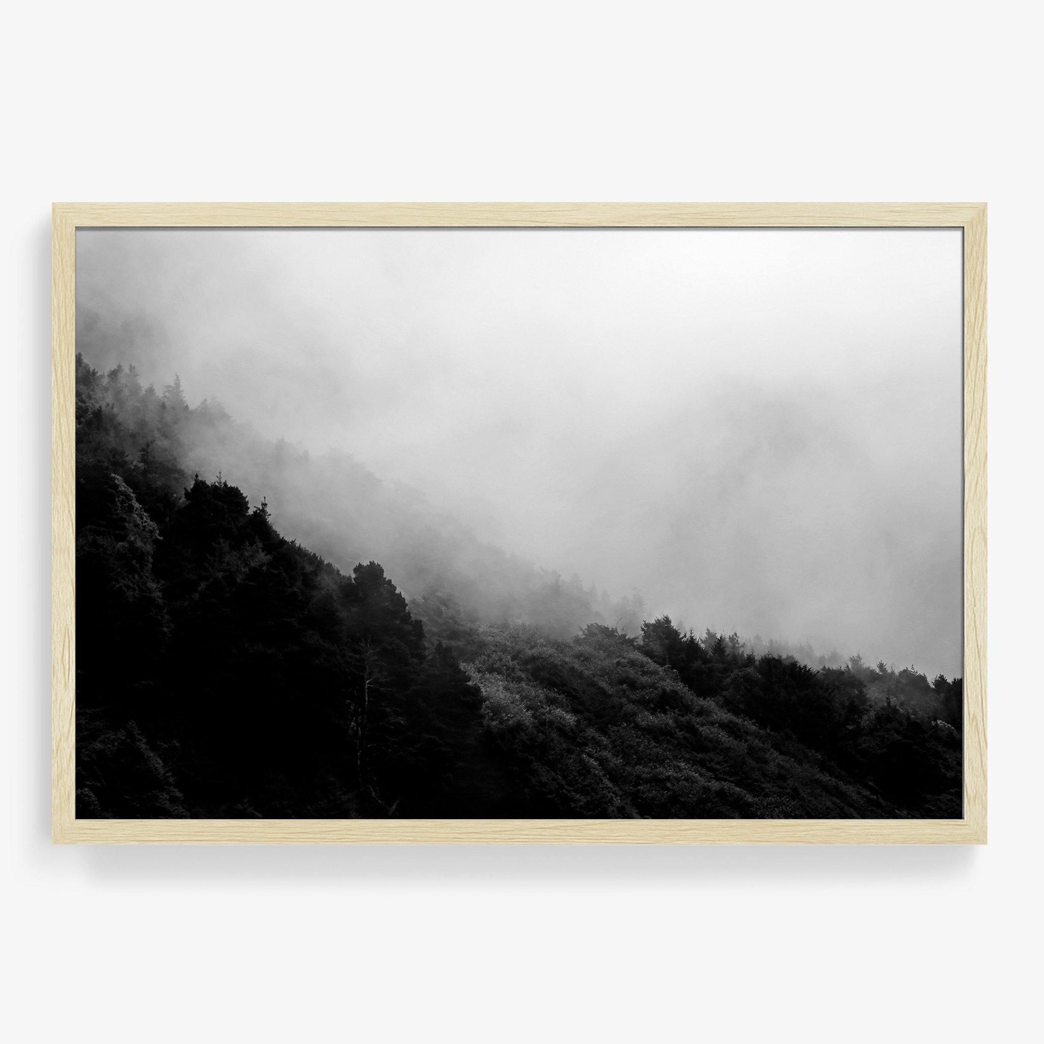 Photograph by Isaac Zoller