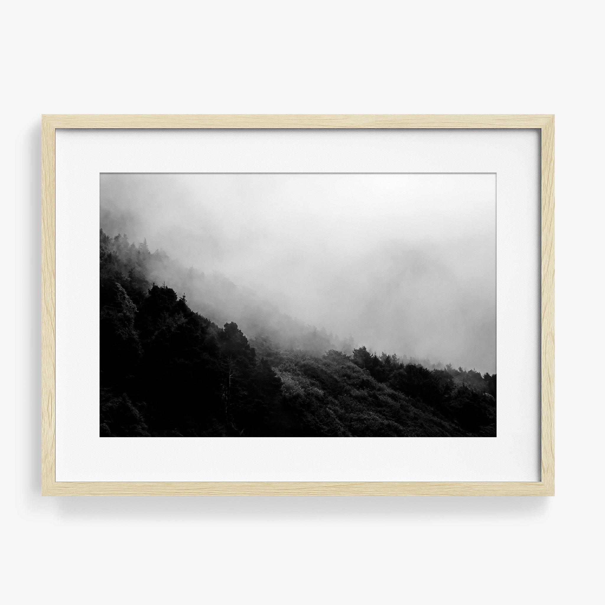 Photograph by Isaac Zoller