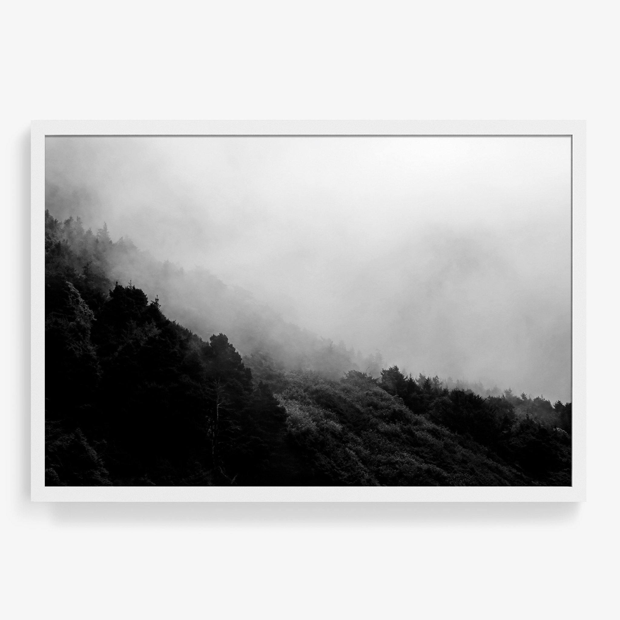 Photograph by Isaac Zoller