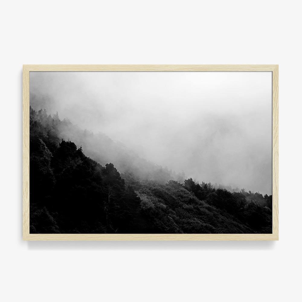 Photograph by Isaac Zoller