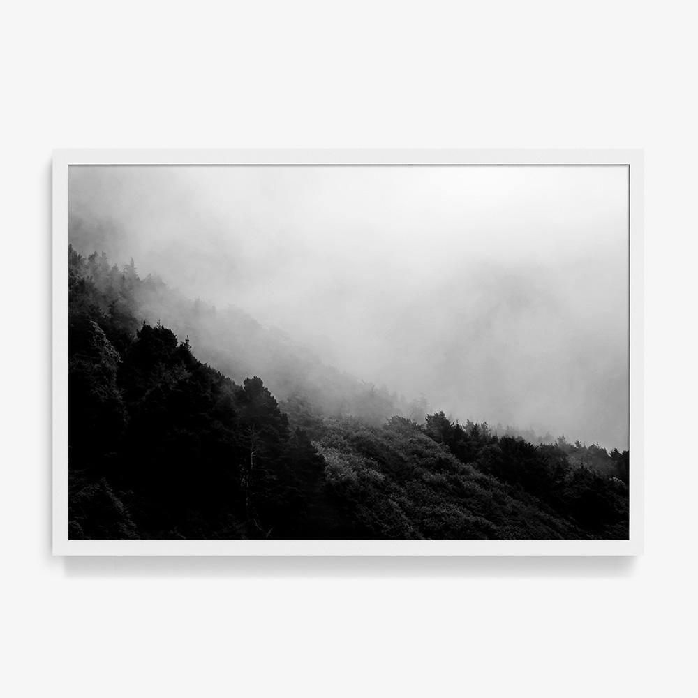 Photograph by Isaac Zoller