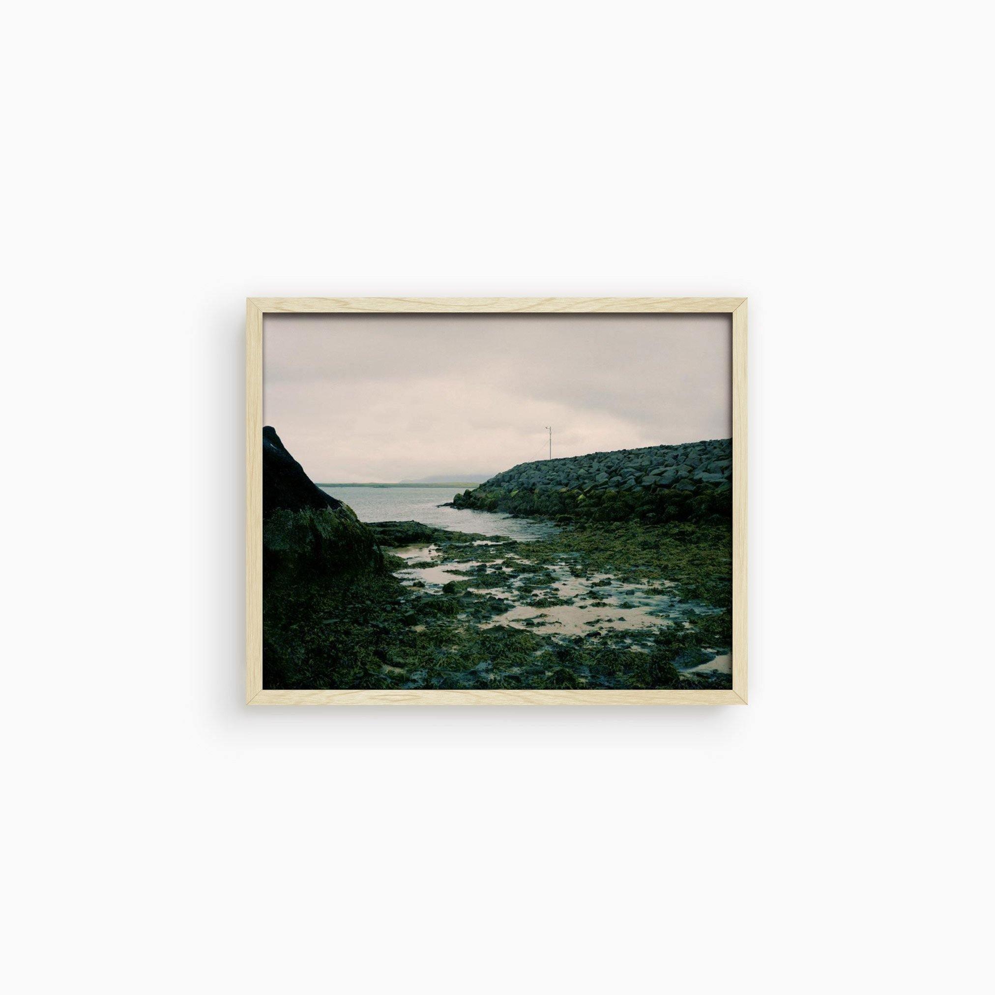 Photograph by Molly Berman