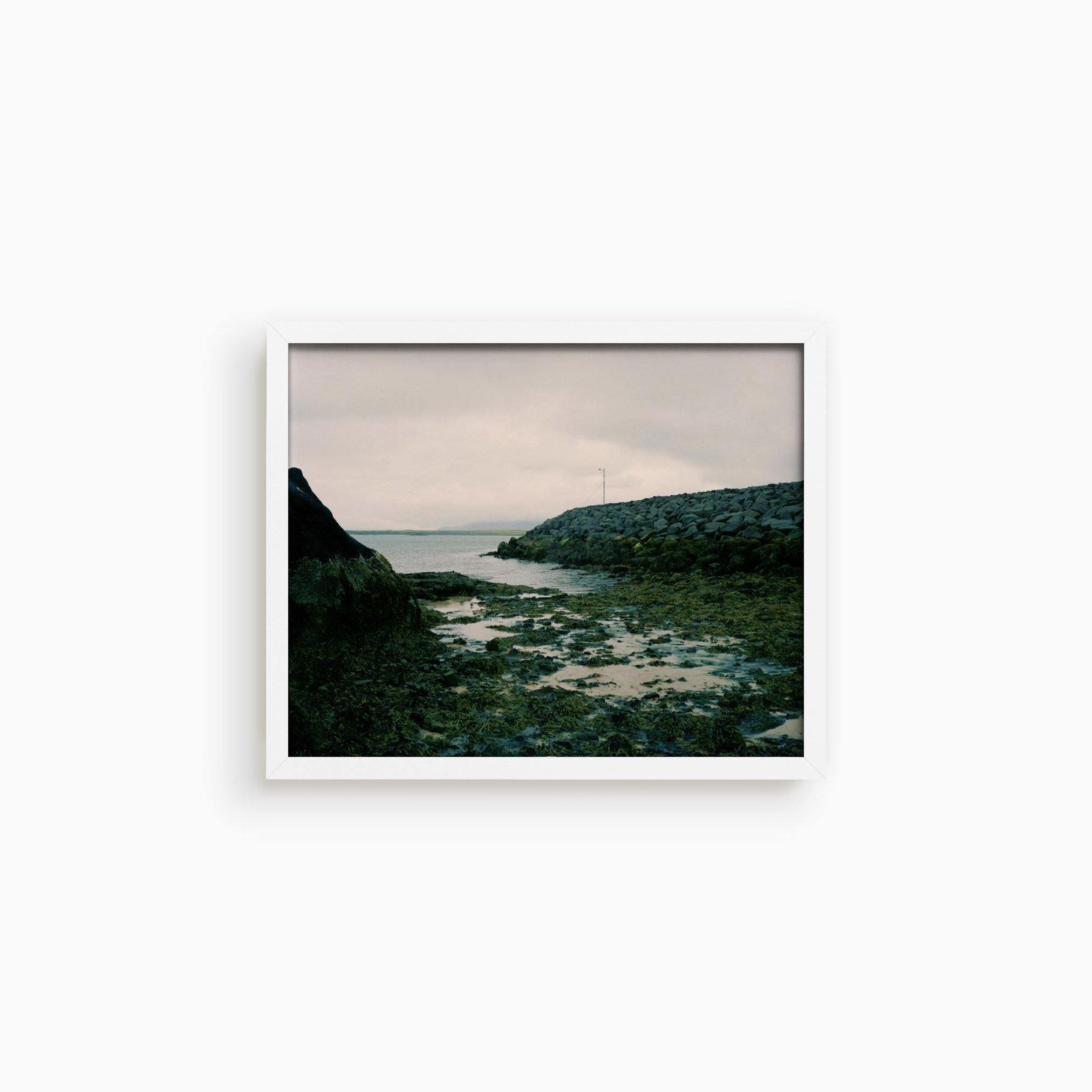 Photograph by Molly Berman