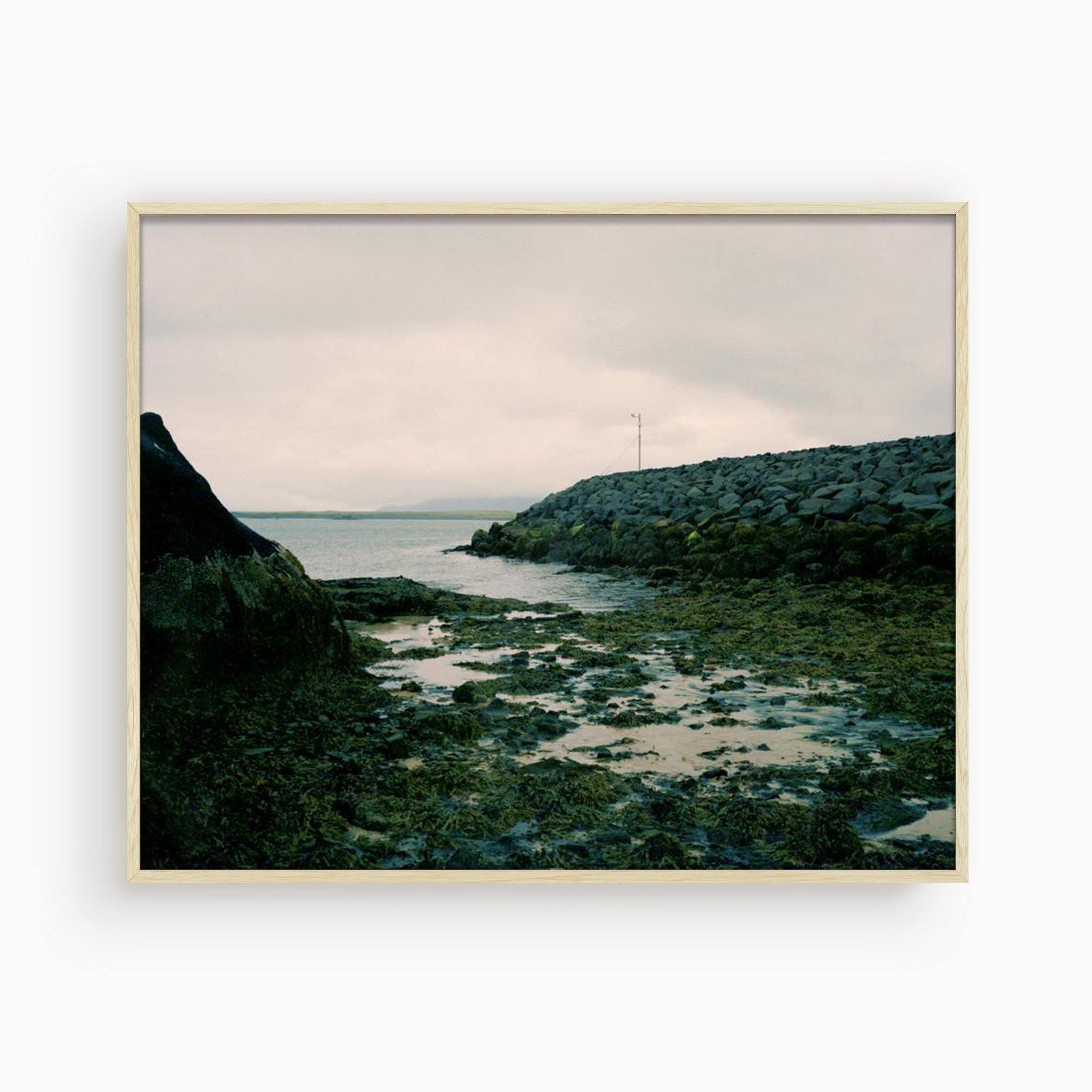 Photograph by Molly Berman