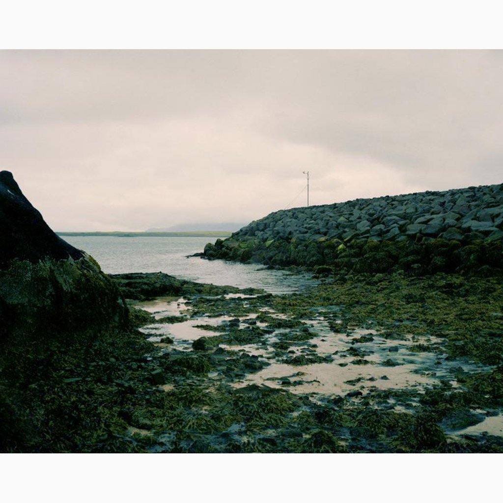 Photograph by Molly Berman
