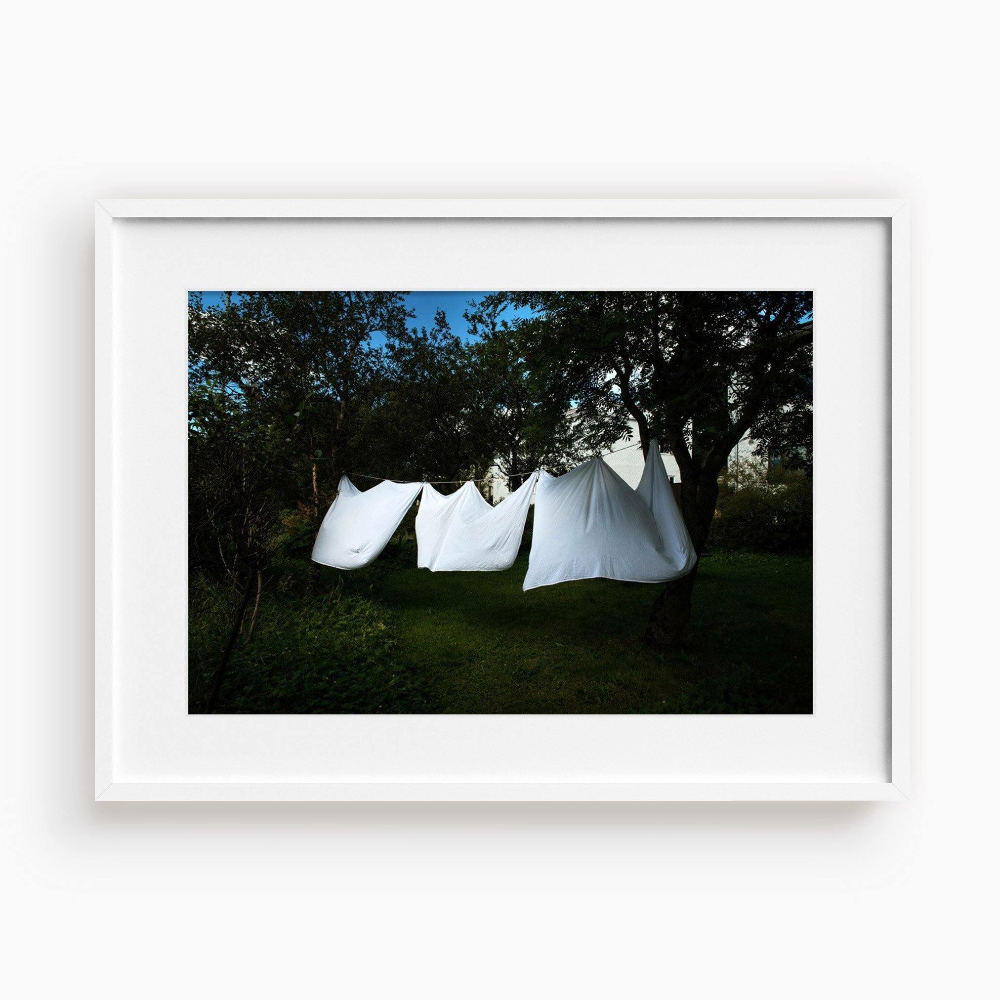 Clothesline, Photograph  by  Clothesline Tappan