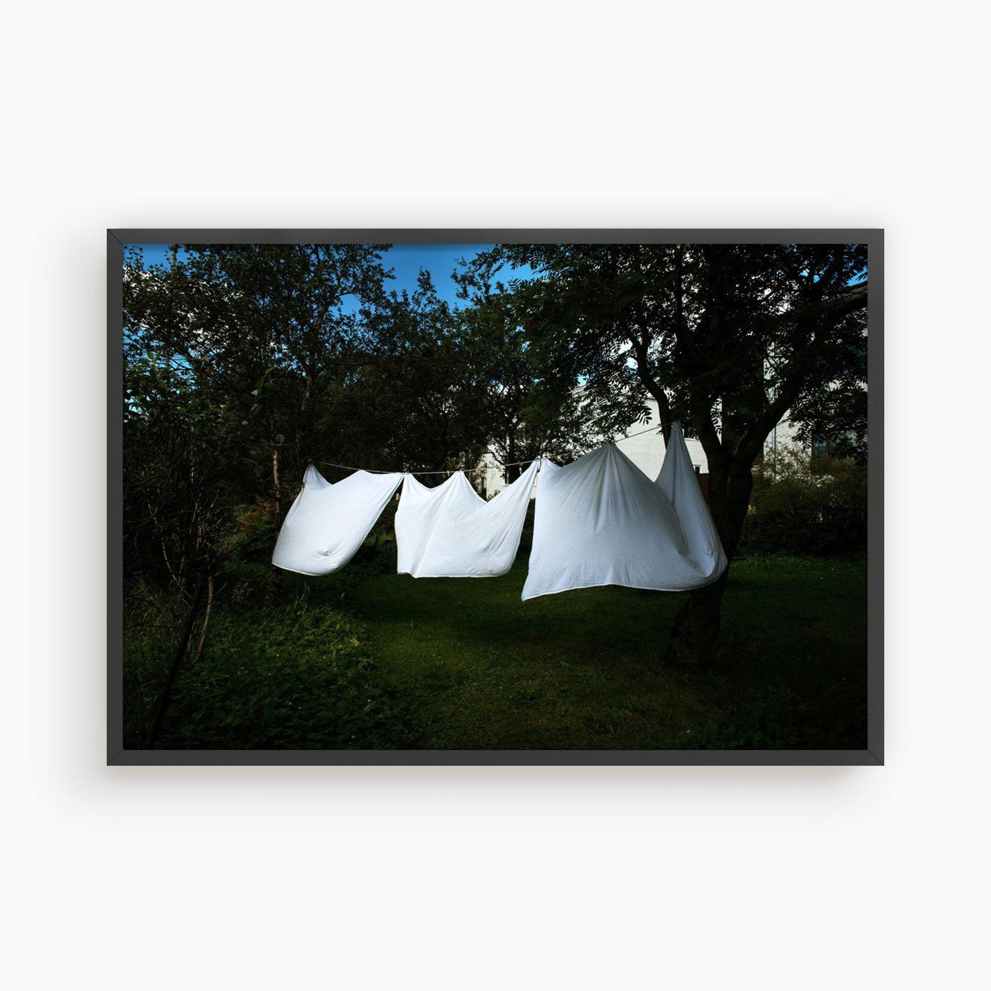 Clothesline, Photograph  by  Clothesline Tappan