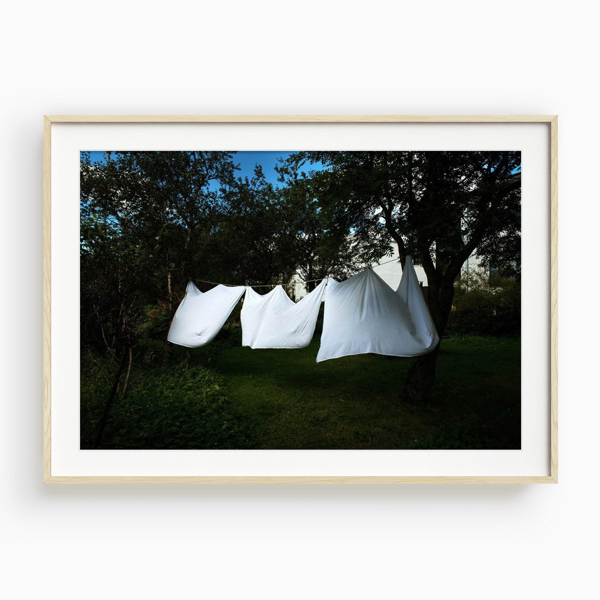 Clothesline, Photograph  by  Clothesline Tappan