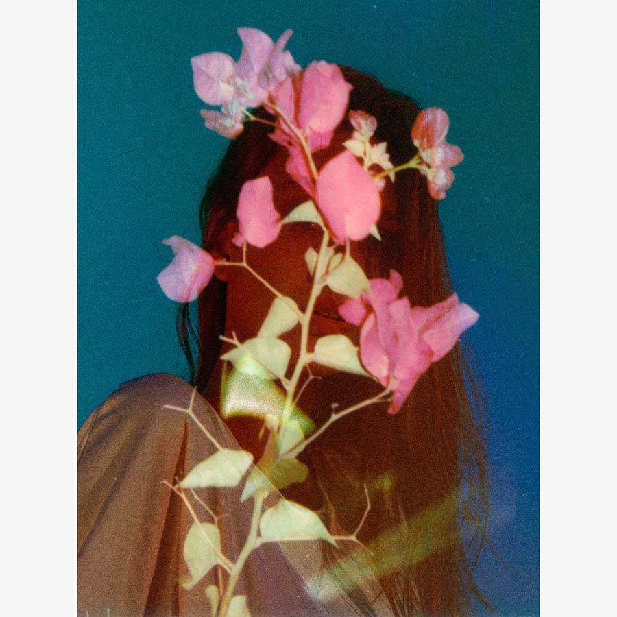 Bloom, Photography  by  Bloom Tappan