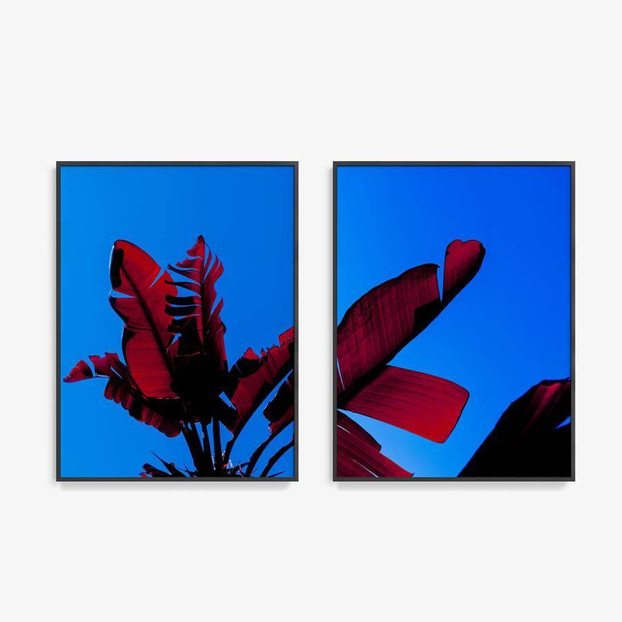 Photography by Neil Kryszak