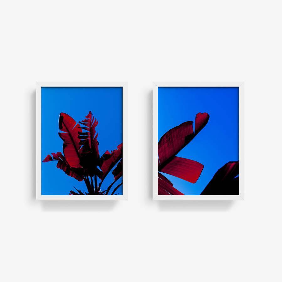 Photography by Neil Kryszak