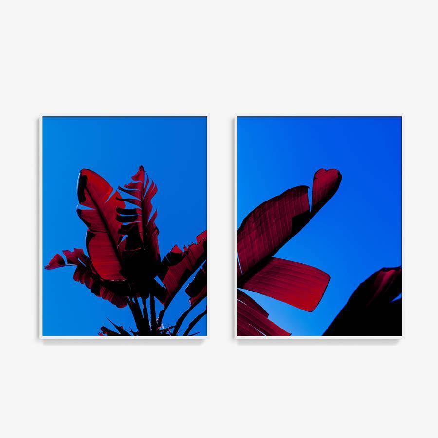 Photography by Neil Kryszak