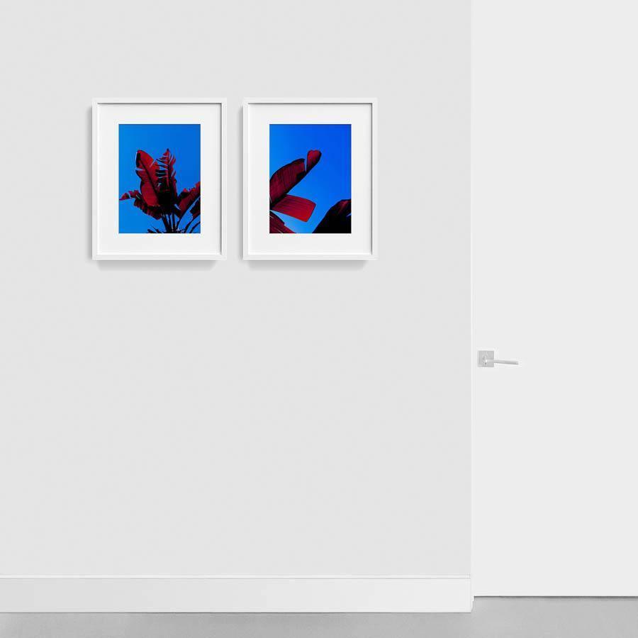 Photography by Neil Kryszak