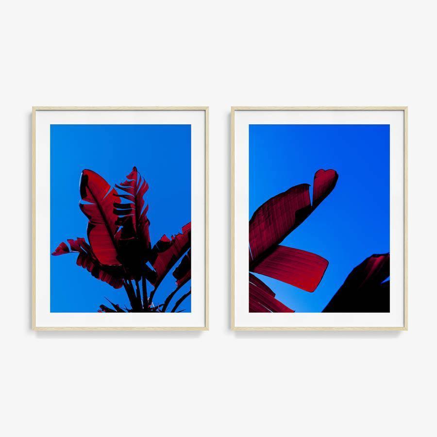 Photography by Neil Kryszak