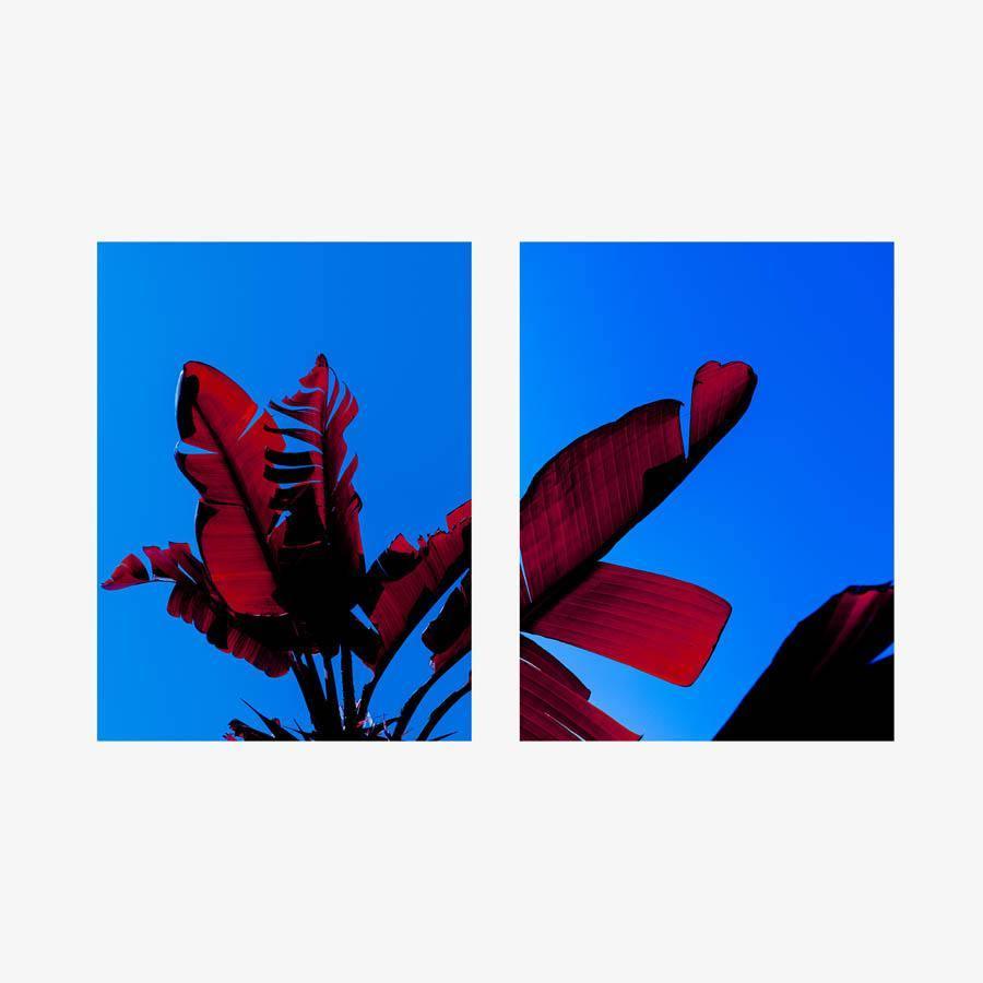 Photography by Neil Kryszak