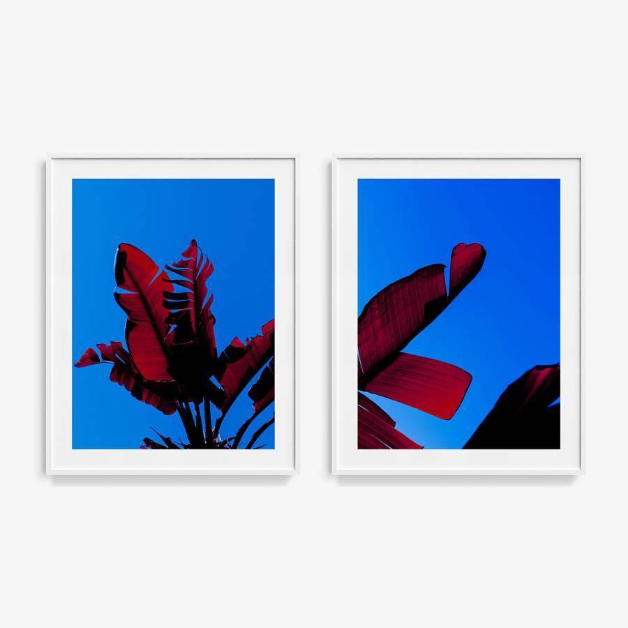 Photography by Neil Kryszak