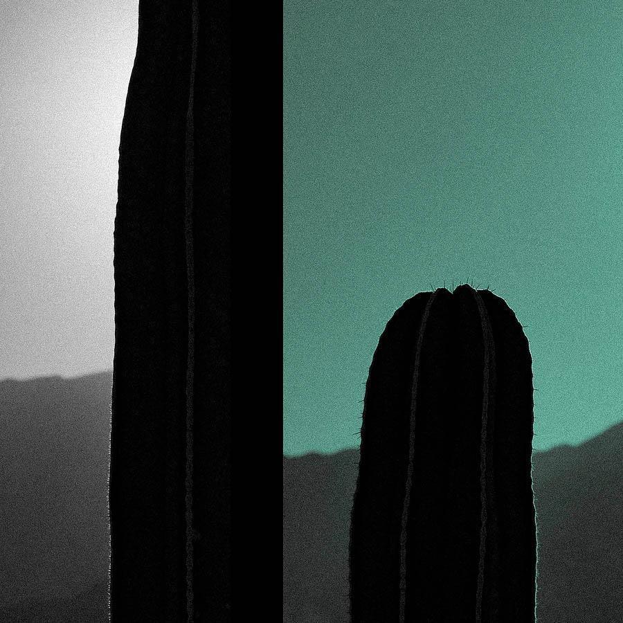 Photography by Neil Kryszak